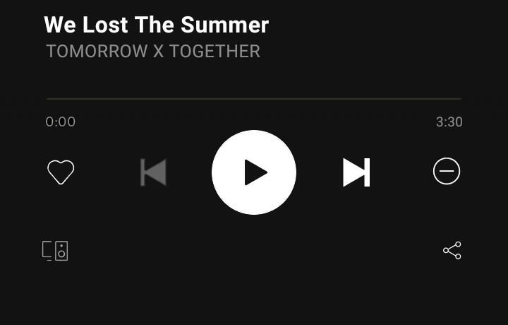 We Lost The Summer